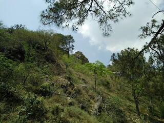 Obraz premium Mountain View