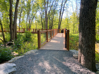 Wooden bridge in the forest. Elevated walkway in a wetland. Walk in a natural park overlooking a marsh.