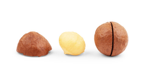 Macadamia nuts closeup on white background