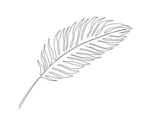 Continuous one line drawing of single palm leaf. Palm leaf single outline vector illustration. Editable stroke.