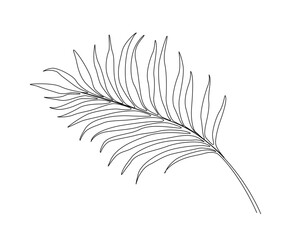 Continuous one line drawing of single palm leaf. Palm leaf single outline vector illustration. Editable stroke.
