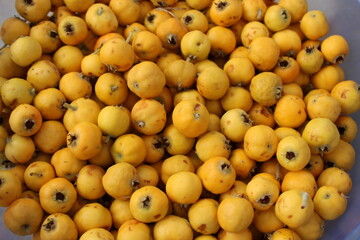 Crataegus orientalis, known as oriental hawthorn, is a species of hawthorn native to the Mediterranean region, Turkey with fruits that are orange or various shades of red.