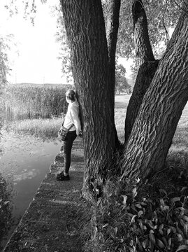 Big willow tree and woman near lake. Woman standing under a willow and enjoying nature in summer.