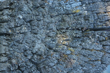 The old structure of a sawn wooden square bar with a slot in the street
