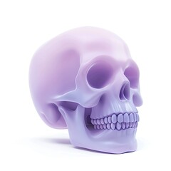 Obraz premium 3d Skull icon minimalist color isolated on white