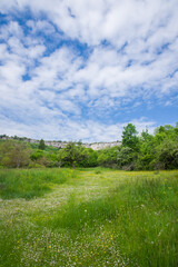 Falaises de Saint-Romain en Côte d'Or, Bourgogne. Prairie et paysage de campagne au printemps. Des fleurs dans les prés au printemps. Prés verts. Agriculture biologique. Jachère. Roches de St-Romain