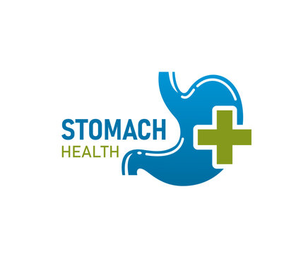 Stomach health icon. Isolated vector gastroenterology clinic emblem of healthy human digestive system and green cross. Medical label of belly, internal gut, tummy or colon care, cure and wellbeing