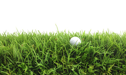 Golf ball on grass on transparent background PNG