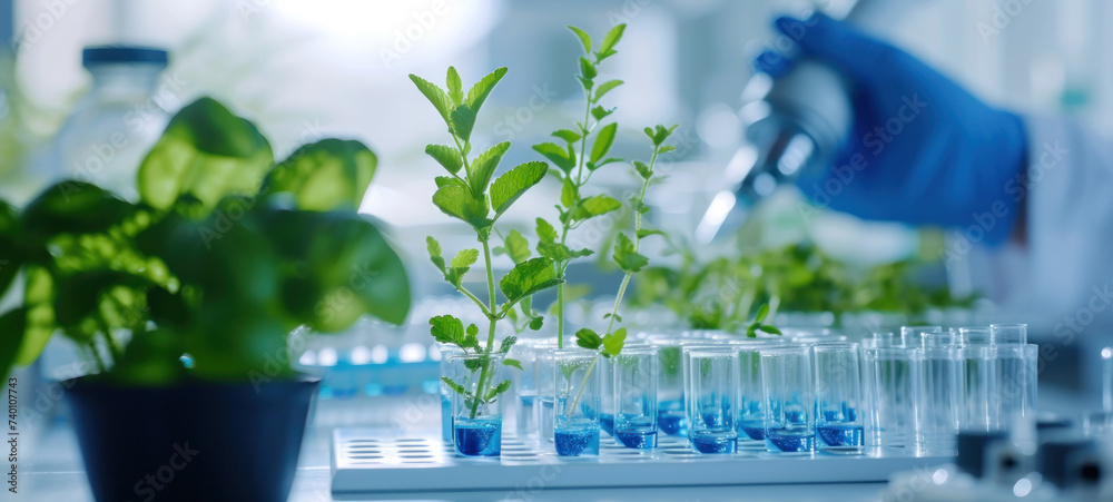 Poster plants in lab tube. science laboratory experiments analysis and genetic engineering study.