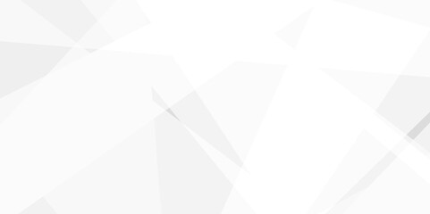 Fototapeta premium Abstract background with white and gray and geometric style with simple lines and corners, triangle as background geometric style with simple lines and corners, triangle as background paper texture 