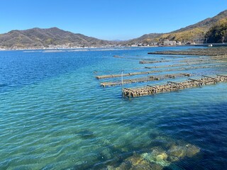 瀬戸内海の牡蠣いかだ