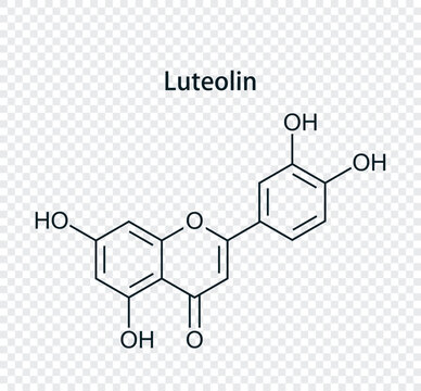 Chemical structure of luteolin. Vector illustration isolated on transparent background.