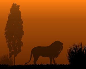 A lion prowling at night