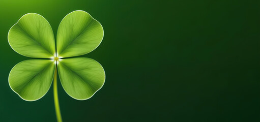 Clover four leaves on solid green background symbol floral spring leaves Patric good luck plant herbal green - obrazy, fototapety, plakaty