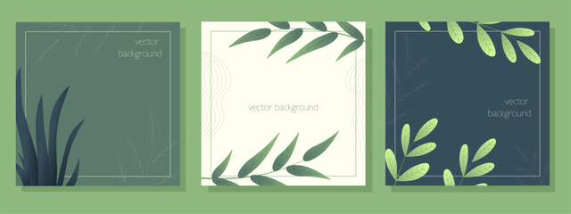Botanical background. Set of three designs. Minimalistic design. Green color, twigs, leaves, plants. Vector illustration.