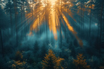 A magical forest scene with sunlight piercing through morning mist, illuminating the autumn foliage.