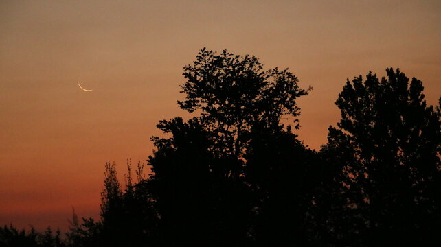 Atardecer en campo country, cielo rosado y naranja