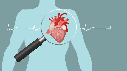 the human heart under a magnifying glass. the concept of treatment of heart diseases