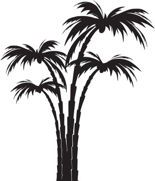  vector silhouette palm tree, decorative element for poster, banner and background