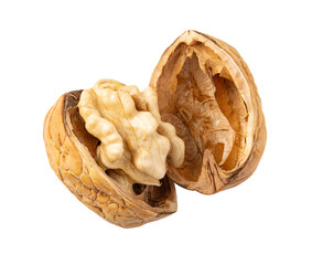 Walnut on white background