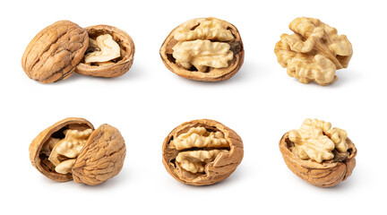 Walnut on white background