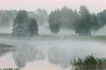 Foggy morning on forest lake. Early morning on lake in forest