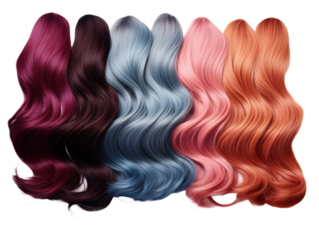 Hair Colors Palette on white or transparent background