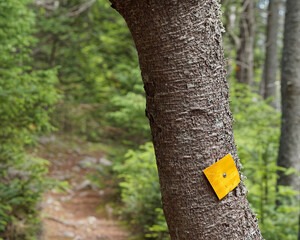 Colored trail markers providing direction and safety for hikers.