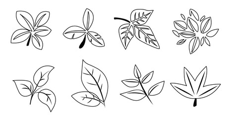 Vector illustration featuring a collection of six different leaf designs in black and white, ideal for spring-themed graphics