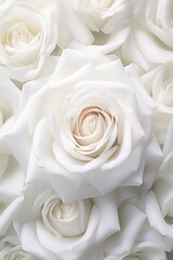 Close up view of a bunch of white roses. Perfect for wedding invitations