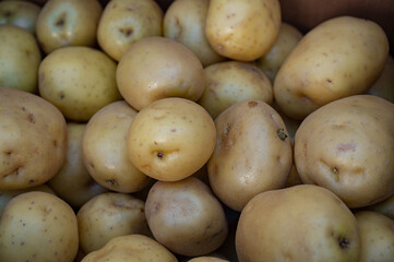 Potato close-up on a street stall tray. Fresh fruits and vegetables. Background with juicy and bright products.