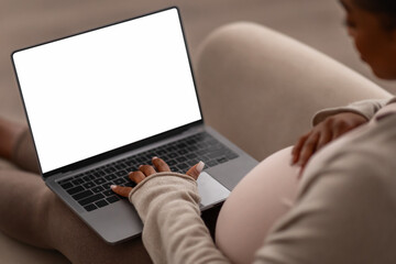 High angle view pregnant woman using laptop