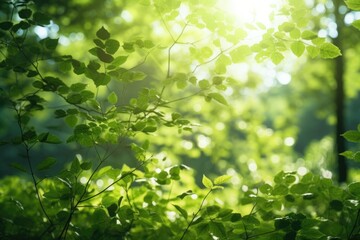 Fototapeta na wymiar Sunlight filtering through lush green foliage. Ideal for nature-themed designs