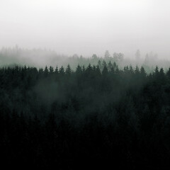 Mountain landscape, forest with fog, mountains, panorama, Black Forest silhouette trees, copy space.