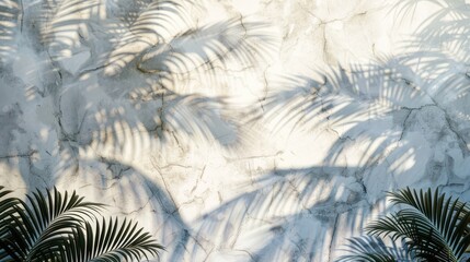 Marble wall with shadow from palm tree