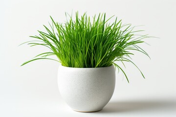 A vibrant potted plant filled with lush green grass, adding a touch of nature and tranquility to any space it occupies