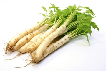 A bunch of parsnip on a white surface. Suitable for food and vegetable themed designs - obrazy, fototapety, plakaty