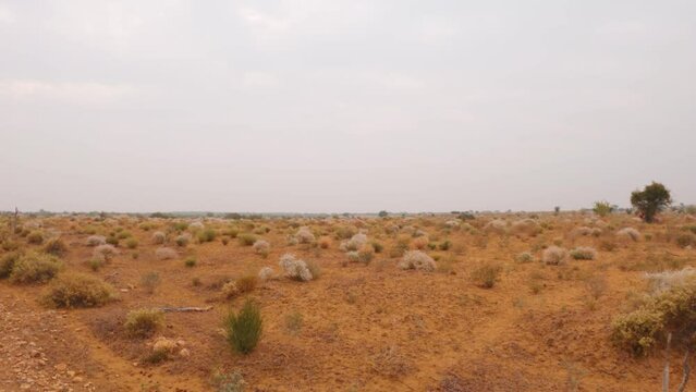 4K moving shot of desert landscape with dry bushes at Thar desert of Rajasthan, India. Shot of dry arid desert landscape from moving vehicle. Nature landscape. Travel and holidays concept.  