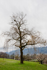 Vaduz, Liechtenstein