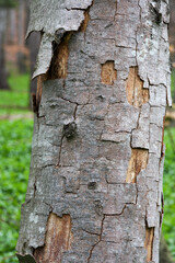 Vaduz, Liechtenstein