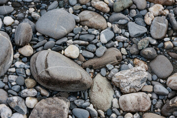 Fototapeta na wymiar Pebbles and Stones on Rhine River bed, Vaduz, Liechtenstein