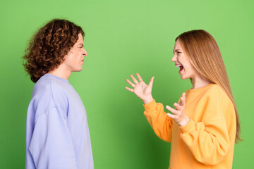 Profile portrait of two outraged people conflict yell look each other isolated on green color background