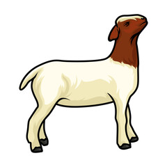 Prime Contest-Ready Goat Stands Tall Vector