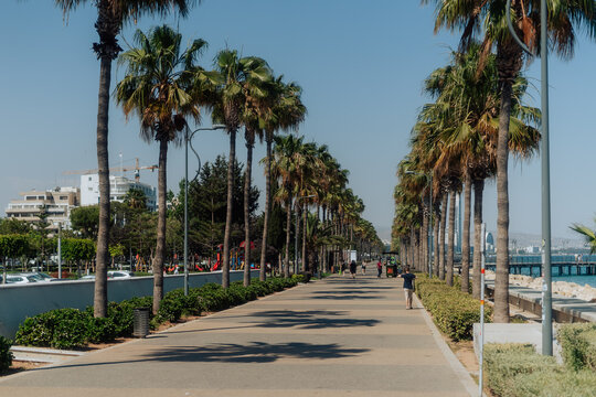 Coastal Promenade: Limassol's Molos Boulevad