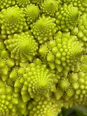 Romanesco Broccoli close up photo
