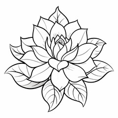 outline drawing,flower outline,animal outline