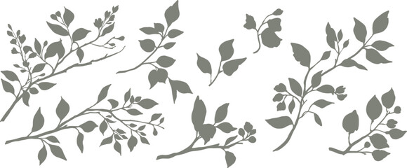 Fototapeta premium Set of silhouettes of branches and leaves. Hand drawn vector botanical elements