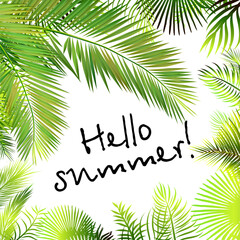 Hello summer. Background with palm leaves. Hello summer. hand drawing. Not AI. Vector illustration