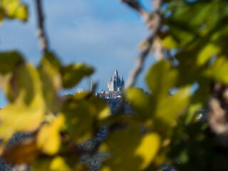 A church in the distance among the unfocused leaves