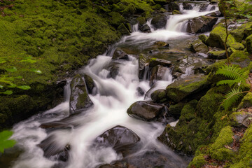 Fototapeta na wymiar Beautiful serene waterfall cascading through lush green foliage. Ceunant Mawr Waterfall, also known as Llanberis Falls in North Wales 